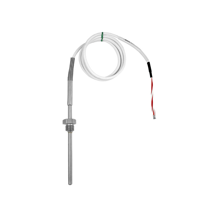 E+H TST310-A2B1A3E2A1A ��ҵ�¶ȼ� RTD �ȵ��� ̽ͷ Endress+Hauser ����˹��˹